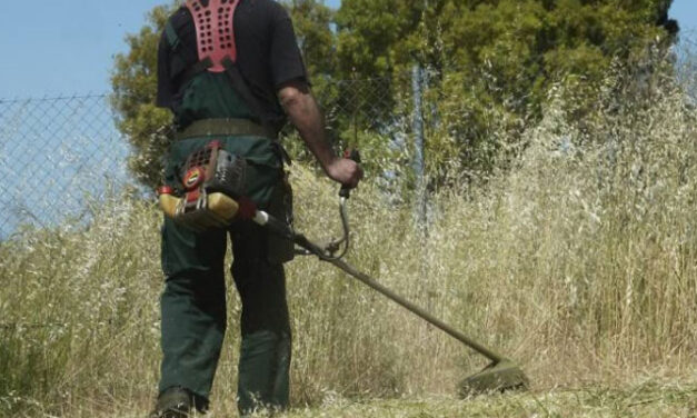 Υποχρεωτικός καθαρισμός οικοπέδων ενόψει αντιπυρικής περιόδου – Οδηγίες προς τους πολίτες του Δήμου Μεγαρέων