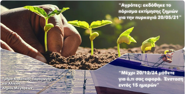 Πορίσματα εκτίμησης ζημιών φυτικού κεφαλαίου από την πυρκαγιά της 20ης  Μαΐου 2021