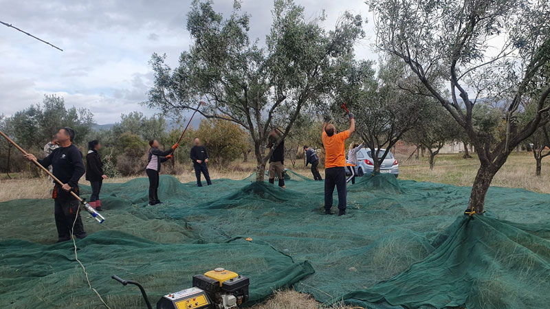 Μάθημα προσφοράς και εθελοντισμού από το Εσπερινό ΕΠΑΛ Μεγάρων