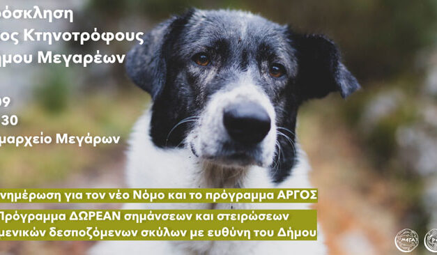 Δήμος Μεγαρέων: Ενημερωτική συνάντηση για τους κτηνοτρόφους- Δωρεάν σημάνσεις και στειρώσεις σε ποιμενικούς σκύλους