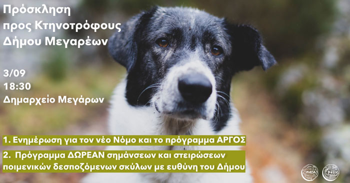 Δήμος Μεγαρέων: Ενημερωτική συνάντηση για τους κτηνοτρόφους- Δωρεάν σημάνσεις και στειρώσεις σε ποιμενικούς σκύλους