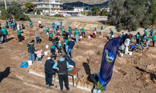 Δενδροφύτευση 200 δέντρων στη Νέα Πέραμο με πρωτοβουλία του ΔΕΣΦΑ – Ο Δήμος Μεγαρέων σε υποστηρικτικό ρόλο