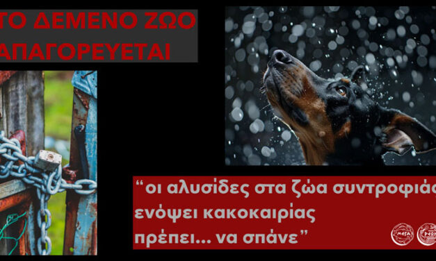 Δήμος Μεγαρέων: Μην αφήνετε τα ζώα εκτεθειμένα στην κακοκαιρία