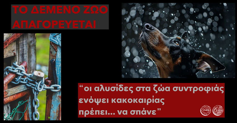 Δήμος Μεγαρέων: Μην αφήνετε τα ζώα εκτεθειμένα στην κακοκαιρία