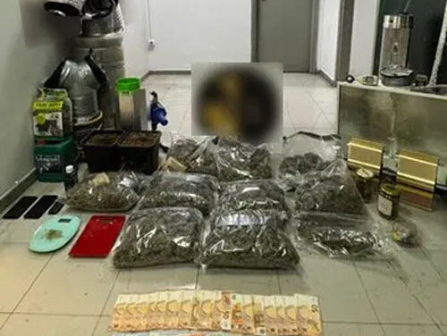 Εντοπίστηκε από την ΕΛ.ΑΣ. εργαστήριο καλλιέργειας κάνναβης σε οικία στην Κινέτα