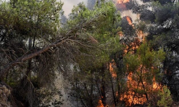 Πυρκαγιά ξέσπασε σε ορεινή περιοχή στην Κινέτα
