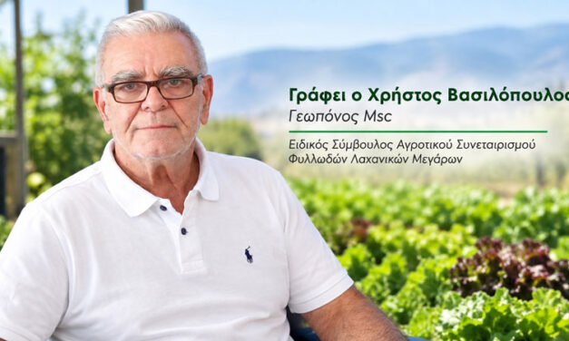 «Η σιωπή των αμνών»