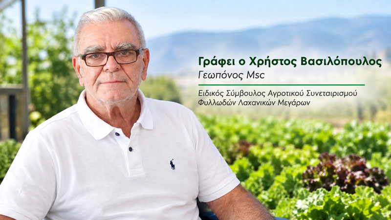 «Η σιωπή των αμνών»