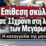 Επίθεση σκύλου σε 11χρονη στη λαϊκή των Μεγάρων – Η καταγγελία της μητέρας