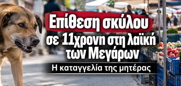 Επίθεση σκύλου σε 11χρονη στη λαϊκή των Μεγάρων – Η καταγγελία της μητέρας
