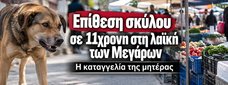 Επίθεση σκύλου σε 11χρονη στη λαϊκή των Μεγάρων – Η καταγγελία της μητέρας