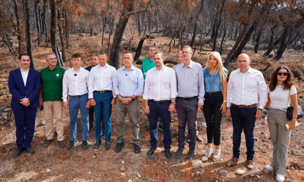 Ξεκίνησαν τα αντιδιαβρωτικά και αντιπλημμυρικά έργα στις πυρόπληκτες εκτάσεις