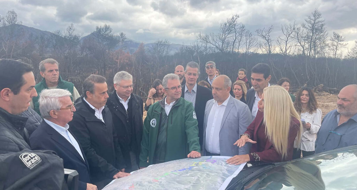 Στη Λούμπα κυβερνητικό κλιμάκιο για την αποκατάσταση των πυρόπληκτων περιοχών